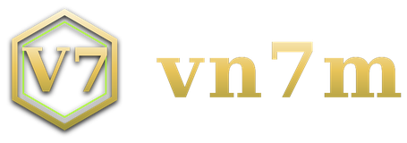 vn7m logo